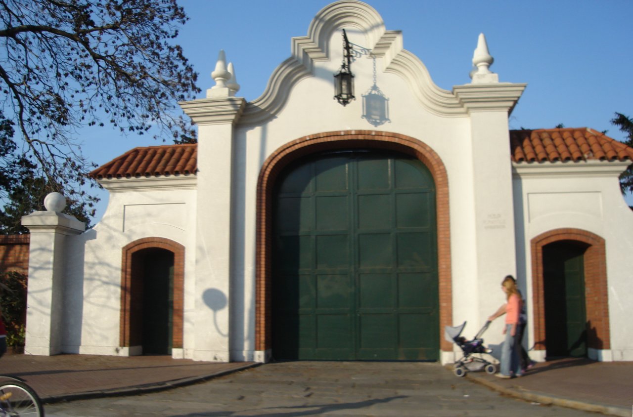 Olivos